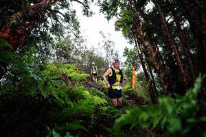 BIB: 
                            <button type="button" onclick="openModal(26204126)" class="btn btn-primary btn-sm float-right btn-popup" data-toggle="modal" data-target=".modal-high-quality">
                        <i class="fas fa-shopping-cart"></i> Add to Cart
                    </button>
                                            <button type="button" onclick="isThisMe(26204126, true)" class="btn btn-success btn-sm float-right btn-popup btn-isme hidden" data-toggle="tooltip" data-placement="bottom" title="นี่คือรูปของคุณใช่ไหม คลิกที่นี่เพื่อเอาเข้าอัลบั้ม">
                        <i class="fas fa-plus"></i> Add to album
                    </button>
                    <button type="button" onclick="isThisMe(26204126, false)" class="btn btn-warning btn-sm float-right btn-popup btn-isnotme hidden">
                        <i class="fas fa-ban"></i> Remove from album
                    </button>